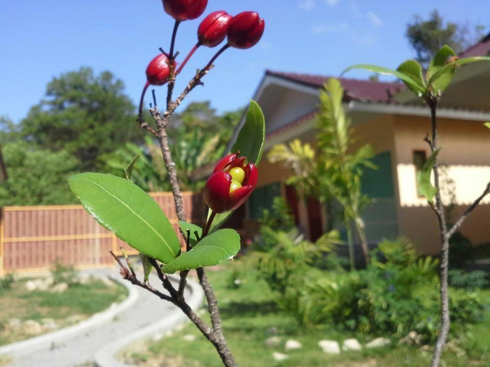 Villa De Mama Rawai Δωμάτιο φωτογραφία